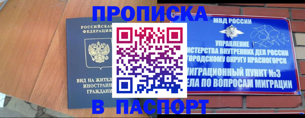 найти адрес прописки в Электрогорске